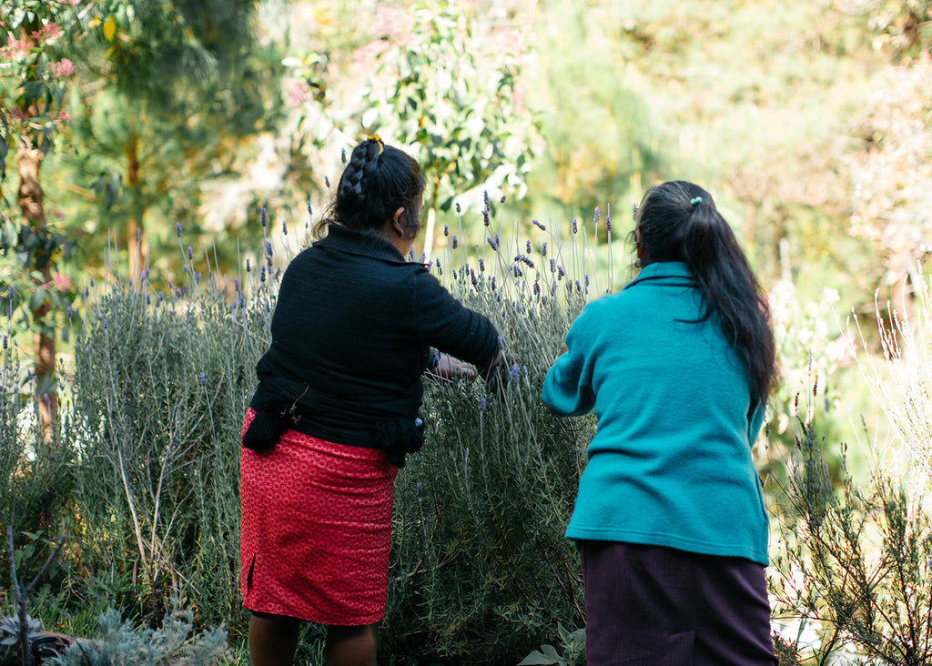 Biodiversidad Protegiendo Ecosistemas