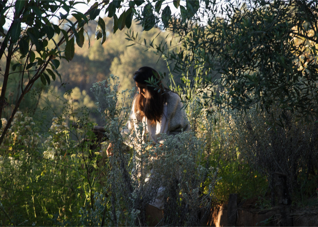 Remedios del Bosque: ayer y hoy