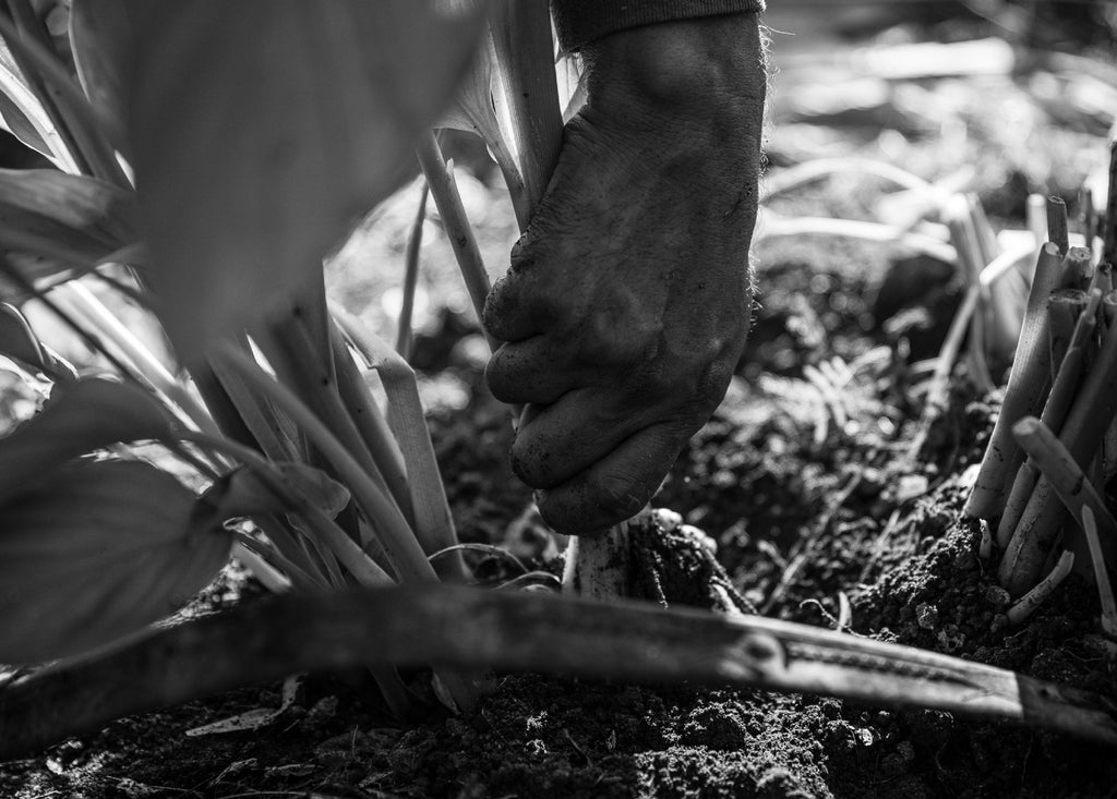 Hablemos de la conservación del suelo