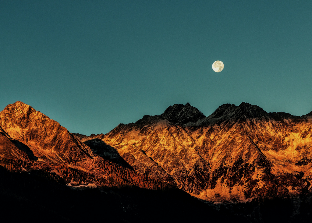 Influencia Lunar Sobre la Cosecha y el Cultivo de Plantas Medicinales
