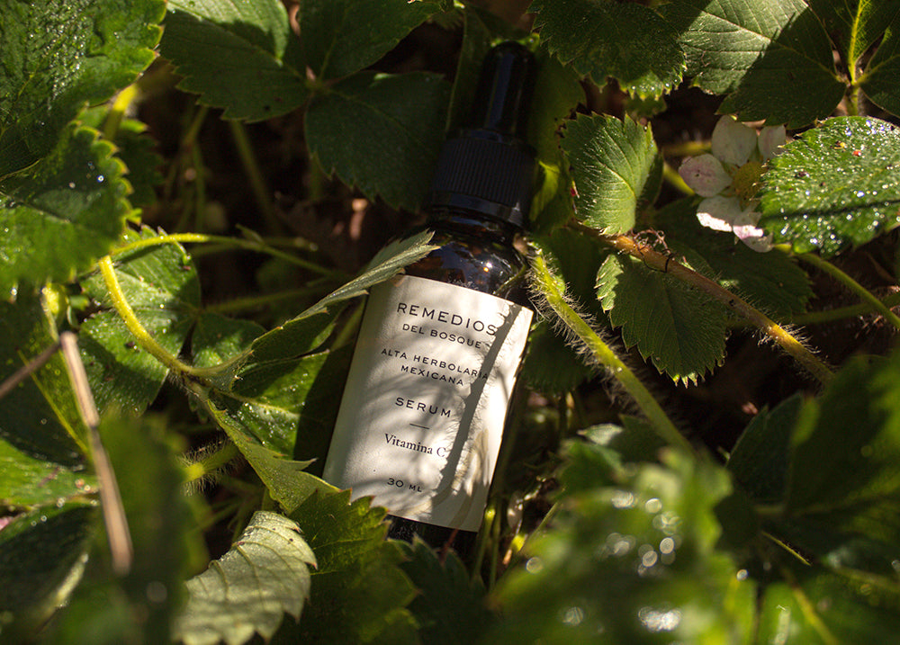 ¿Por qué debo elegir la alta herbolaria mexicana?