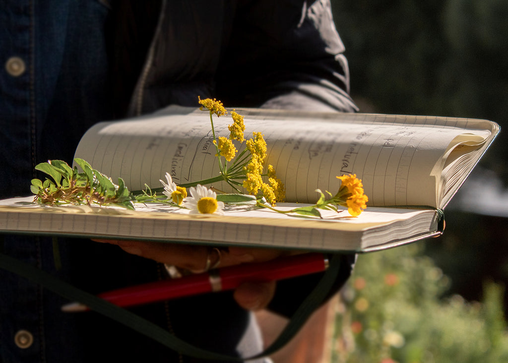 Retiro de Herbolaria Ancestral y Destilación de Aceites Esenciales