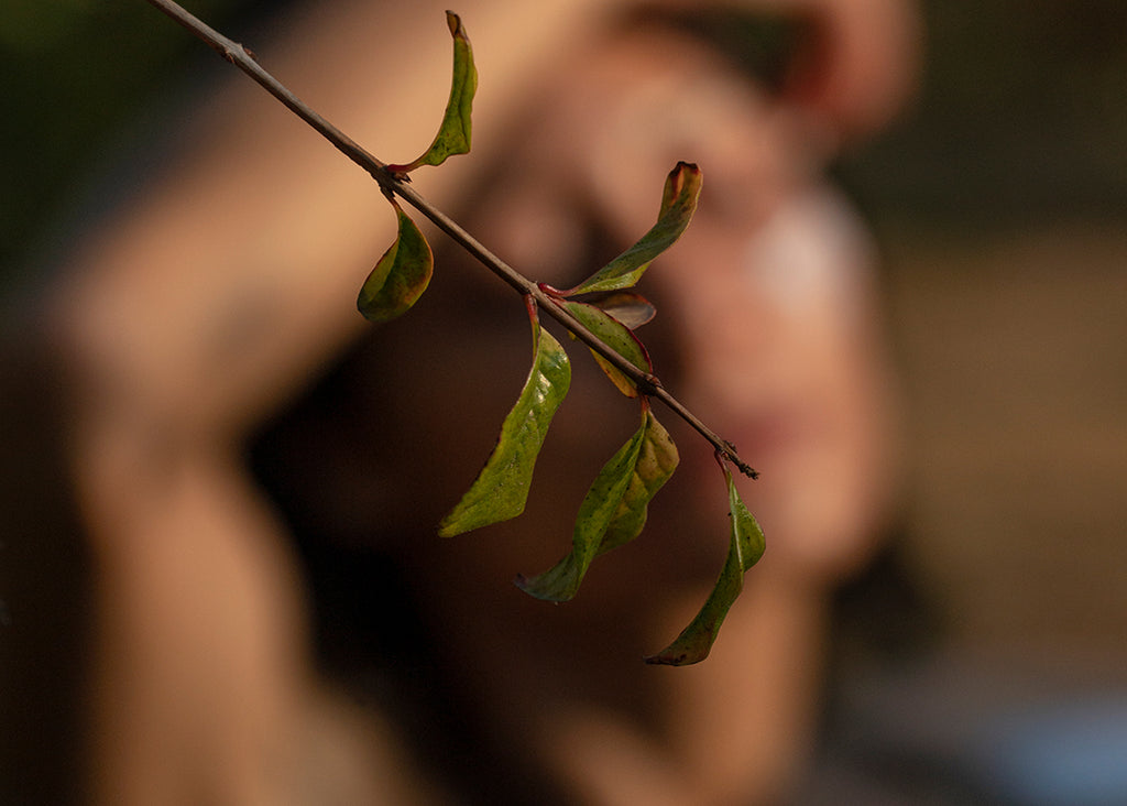 Los 5 compuestos que tienes que evitar en tus productos de cuidado personal