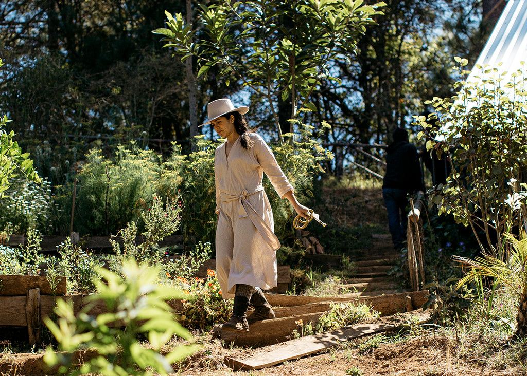 Herbolaria, consciencia y responsabilidad