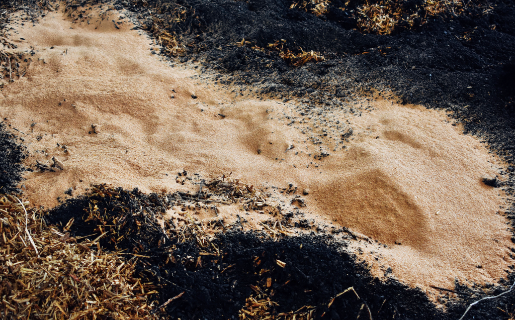 Las otras formas de hacer agricultura