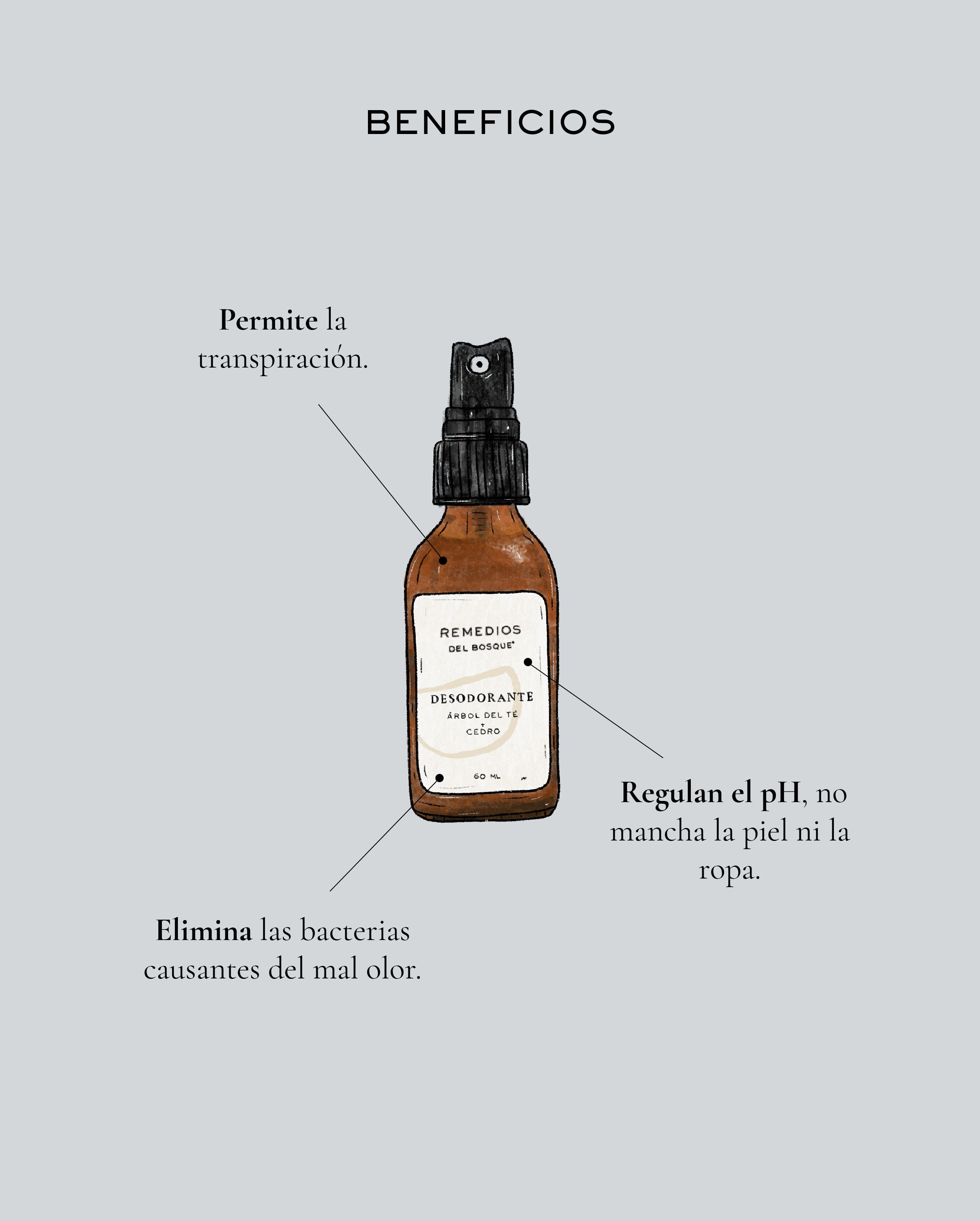 Desodorante Árbol del té + Cedro 60 ml