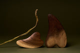 Gua sha de madera