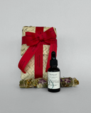 Dúo Navideño Nuevos Comienzos